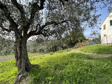 Foto Case semi ndipendenti a Belvedere Ostrense di 104 m² con 6 locali