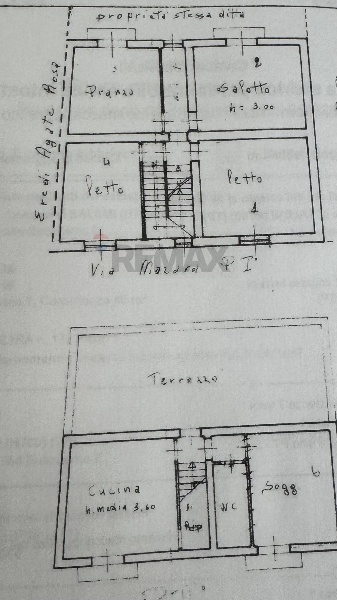 immagine annuncio 11 di 13
