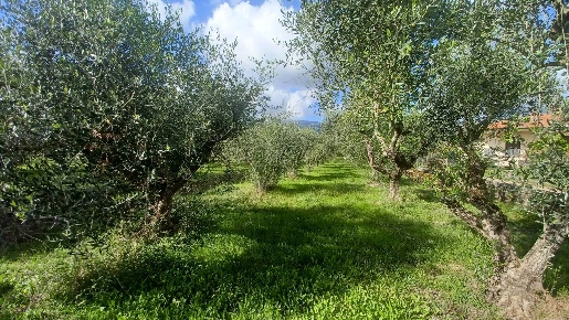 Foto Terreno agricolo in Carpinetana, Maenza di 10000 m² in vendita