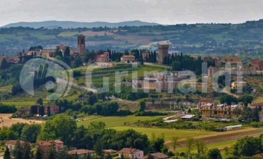 immagine annuncio 0 di 1