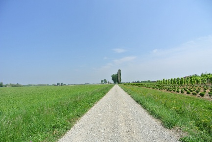 Foto Terreno agricolo in Via Canaletto 33, Malalbergo in vendita