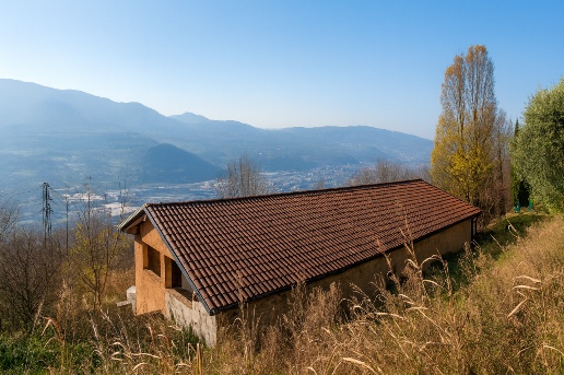 immagine annuncio 2 di 13