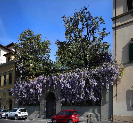 immagine annuncio 2 di 7