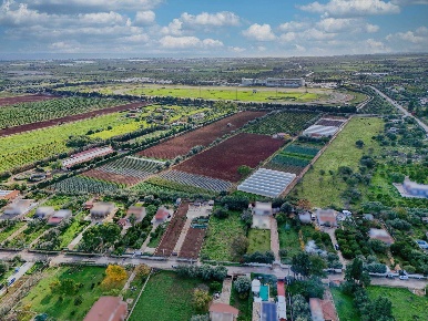 Foto Terreno agricolo a Siracusa Maeggio di 1618 m² in vendita