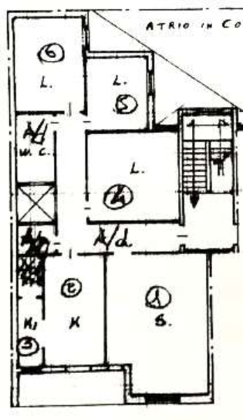 immagine annuncio 7 di 8