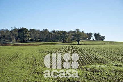 Foto Capannone industriale a Cesenatico Borella di 1500 m² con 1 locali