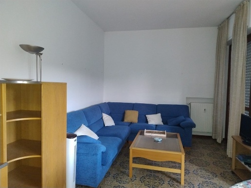 immagine annuncio 3 di 14