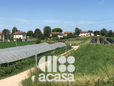 Foto Terreno agricolo a Cesenatico Villamarina Monte di 11806 m² in vendita