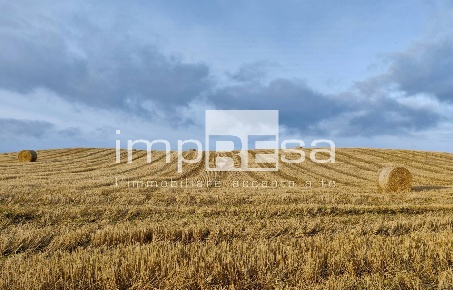 Foto Terreno agricolo in VIA CARBONCINE, Roncade di 11400 m² in vendita