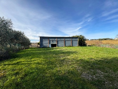 Foto Terreno agricolo a Fermo di 250 m² in vendita