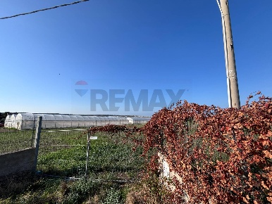 Foto Terreno agricolo a Pachino di 8329 m² in vendita