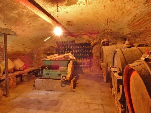 immagine annuncio 12 di 15