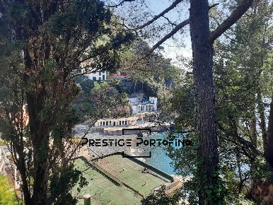 Foto Appartamento in Via Privata Marina Di Bardi, Zoagli Centro in vendita