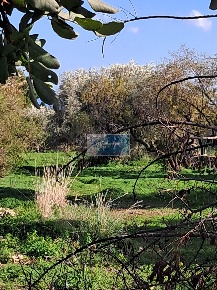 Foto Terreno agricolo Priolo Gargallo in vendita