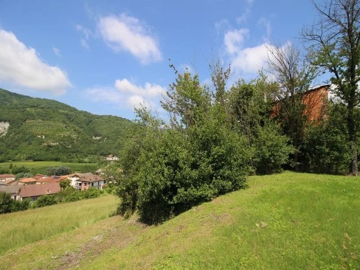 immagine annuncio 2 di 7