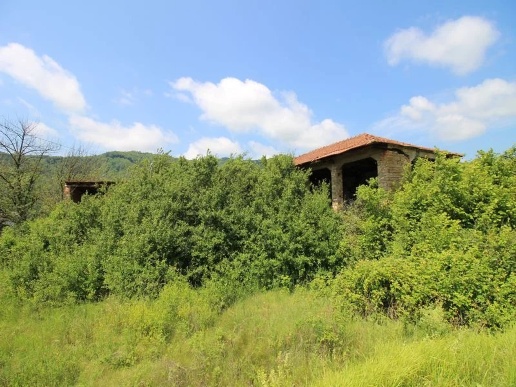 immagine annuncio 3 di 7