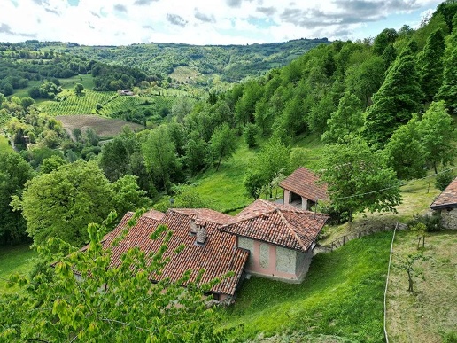 immagine annuncio 11 di 15