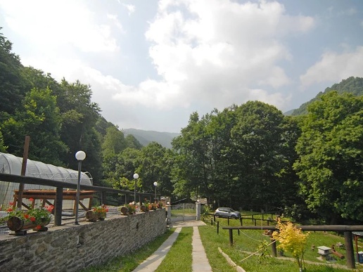 immagine annuncio 6 di 15