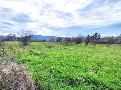 Foto Terreno agricolo in Località Albanetta snc, Palombara Sabina