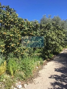 Foto Terreno agricolo in Traversa Mulino Marino, Siracusa in vendita
