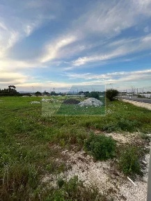 Foto Terreno agricolo in TRAVERSA CASA EBLEA, Siracusa in vendita