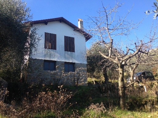 immagine annuncio 10 di 14