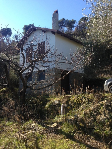 immagine annuncio 11 di 14