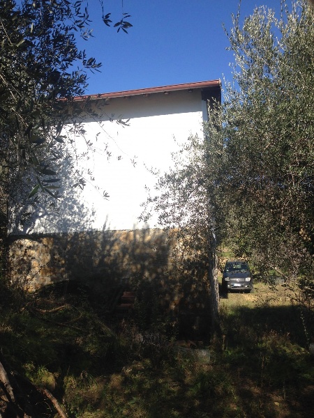 immagine annuncio 12 di 14