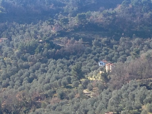 immagine annuncio 13 di 14