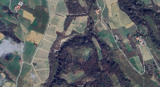 Foto Terreno agricolo in Via Fiori, Trezzo Tinella in vendita