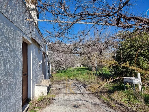 immagine annuncio 9 di 12