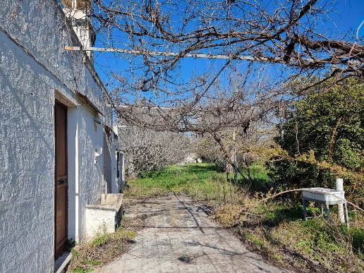 immagine annuncio 9 di 12