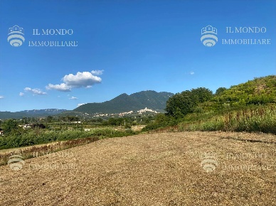 Foto Terreno agricolo in Strada di Colle Pedeschiavo, Palombara Sabina