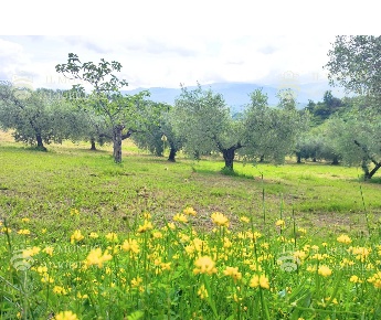 Foto Garage in Strada di Colle Fagiano, Palombara Sabina con 1 locali