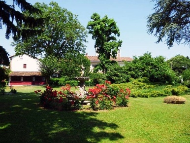 Foto Cessione attività a Clavesana Centro con 15 locali in vendita