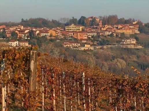 immagine annuncio 12 di 15