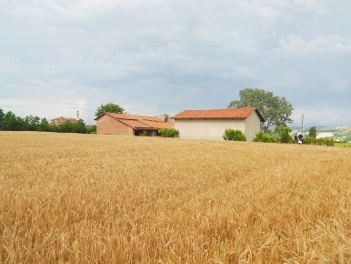 Foto Rustico a Carrù Centro con 10 locali in vendita
