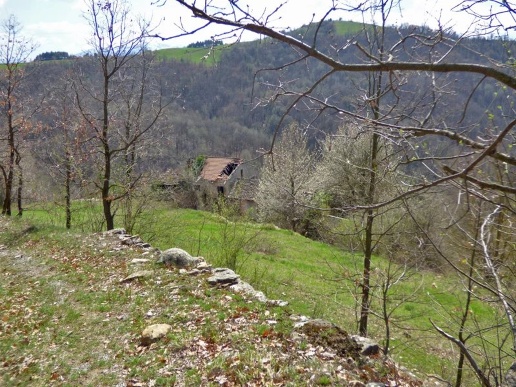 immagine annuncio 1 di 9