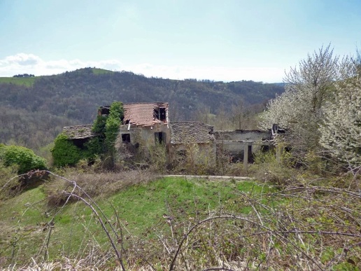 immagine annuncio 2 di 9