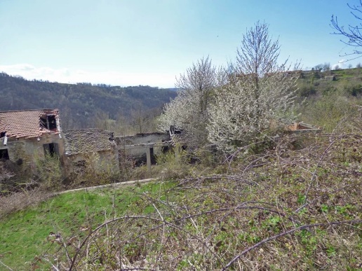 immagine annuncio 3 di 9