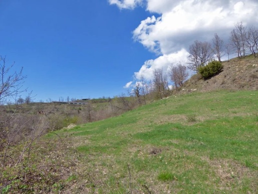 immagine annuncio 5 di 9