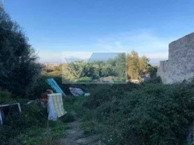 Foto Terreno agricolo in Via Attilio Regolo, Siracusa Belvedere - Tremmilia