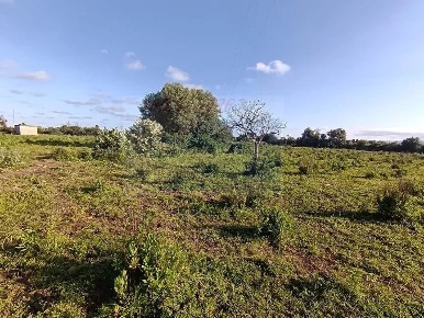 Foto Terreno agricolo in Traversa Masseria Gargallo, Siracusa Tivoli