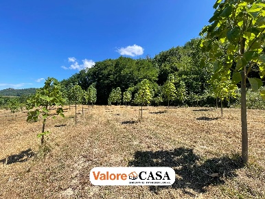 Foto Rustico a Ponzone con 1 locali in vendita