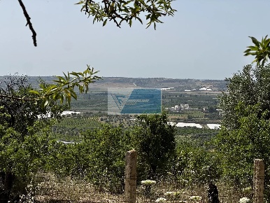 Foto Terreno in CONTRADA SAN AGRIPPINA SACCOLLINO, Noto in vendita