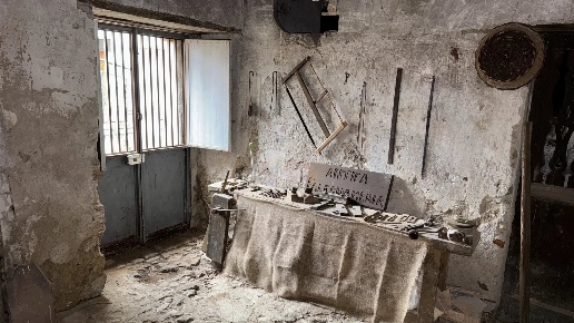 immagine annuncio 7 di 12