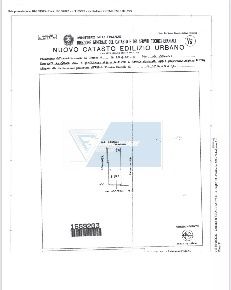 Foto Negozio in Via Pietro Novelli, Siracusa Tica - Zecchino con 2 locali