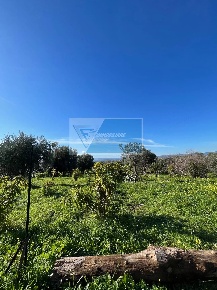 Foto Terreno agricolo in Trav. Mulino Marino, Siracusa in vendita
