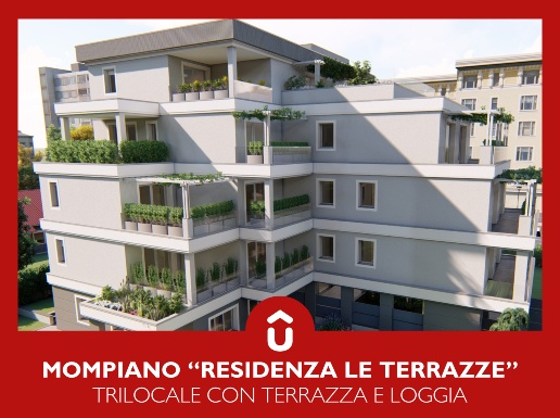 immagine annuncio 11 di 12