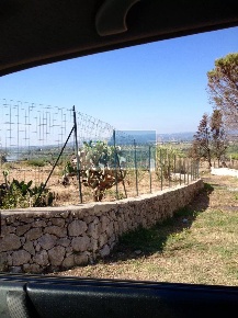 Foto Terreno in Via Salvo D'Acquisto, Siracusa Belvedere - Tremmilia